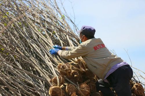 呼图壁县人民政府网